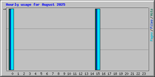 Hourly usage for August 2025